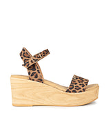 Corte Cuña Litore Animal Leopardo Leopardo / 35