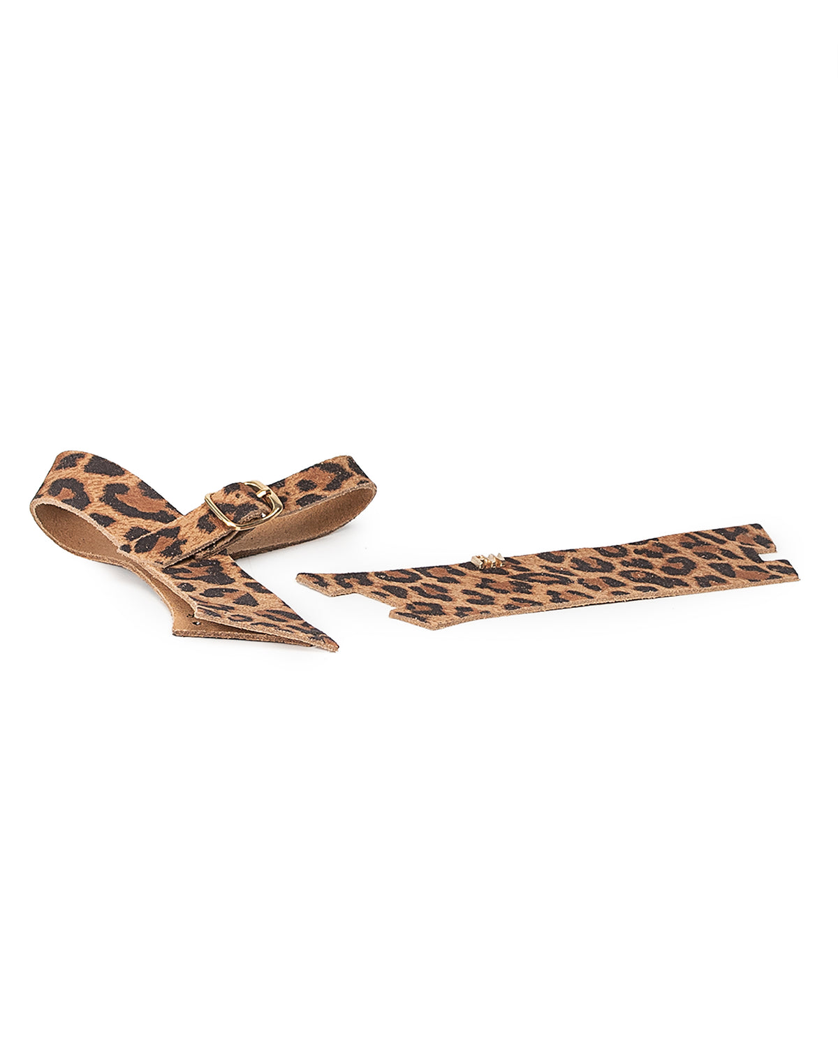 Corte Cuña Litore Animal Leopardo Leopardo / 35
